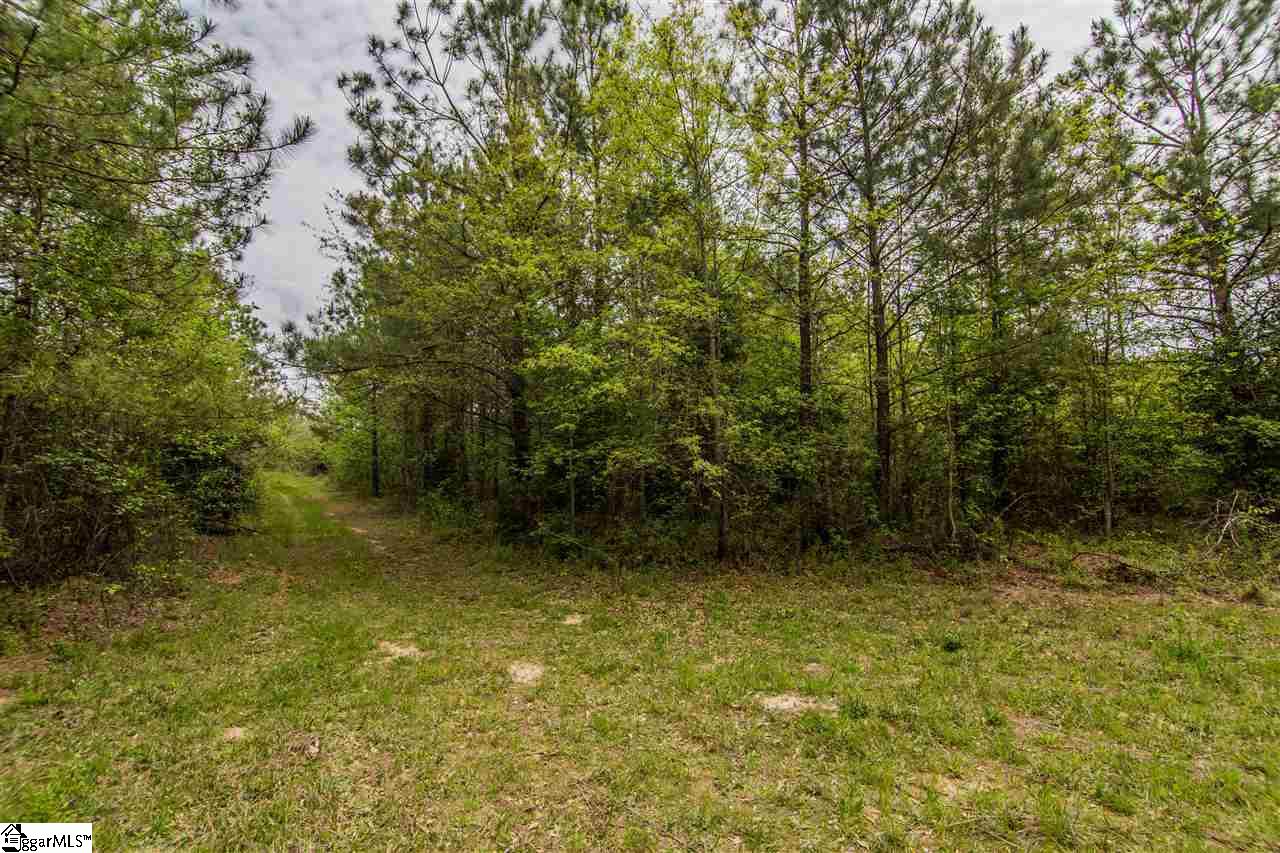 832 Dunklin Bridge Road Fountain Inn, SC 29644 - Photo 29 of 36