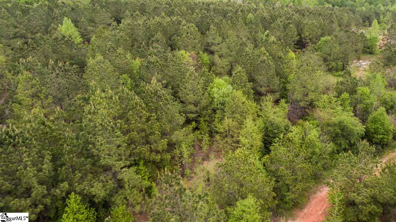 832 Dunklin Bridge Road Fountain Inn, SC 29644 - Photo 4 of 36
