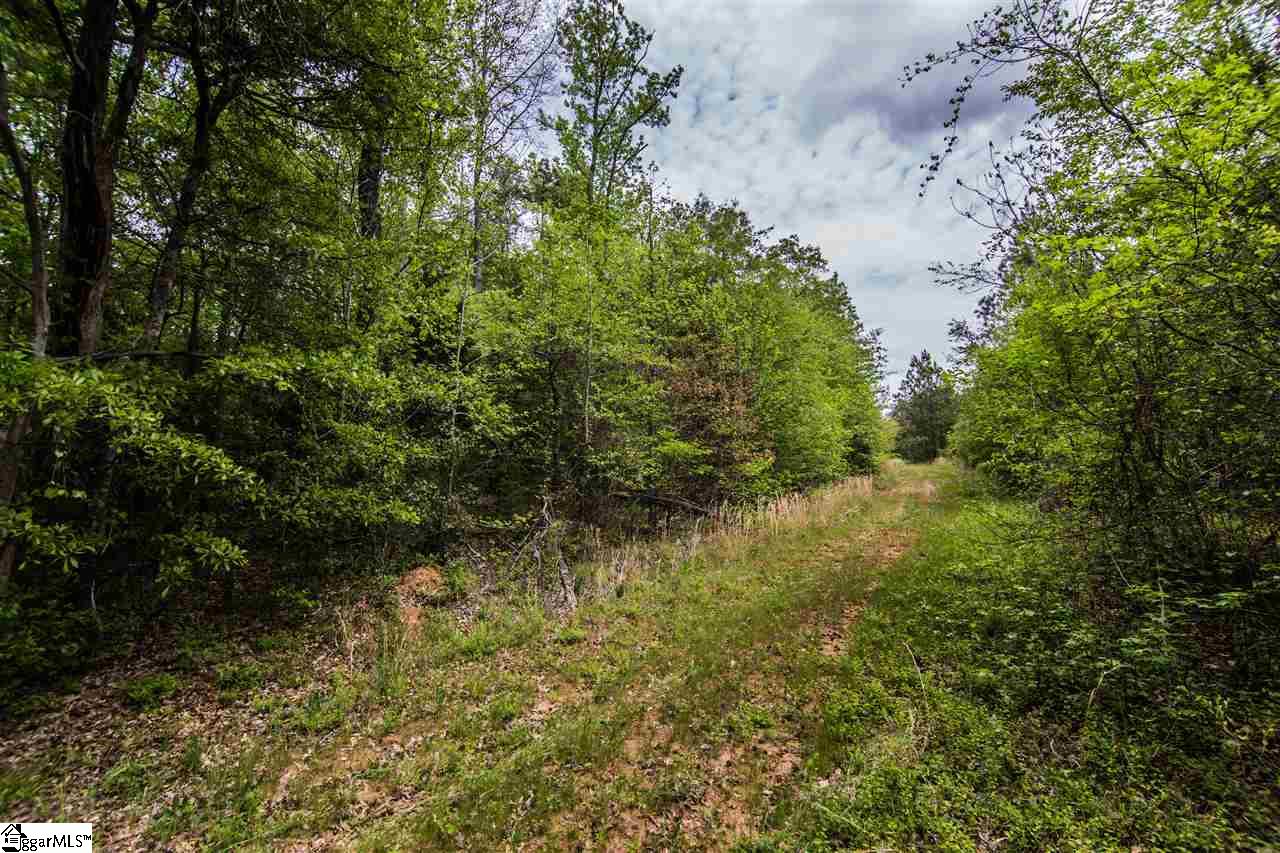 832 Dunklin Bridge Road Fountain Inn, SC 29644 - Photo 33 of 36