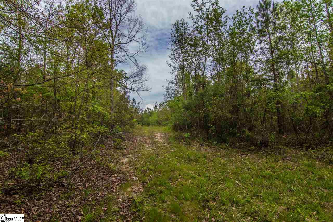 832 Dunklin Bridge Road Fountain Inn, SC 29644 - Photo 34 of 36