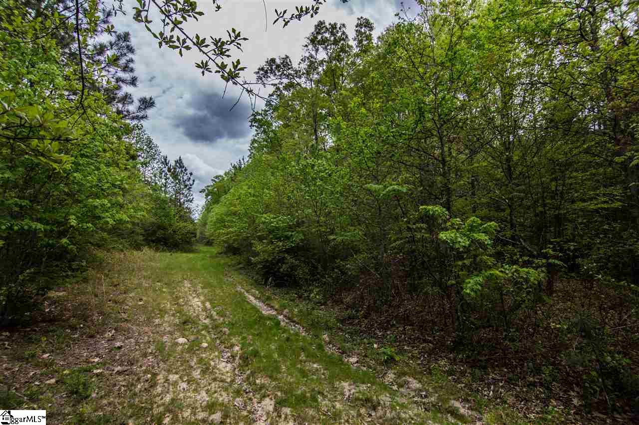 832 Dunklin Bridge Road Fountain Inn, SC 29644 - Photo 36 of 36