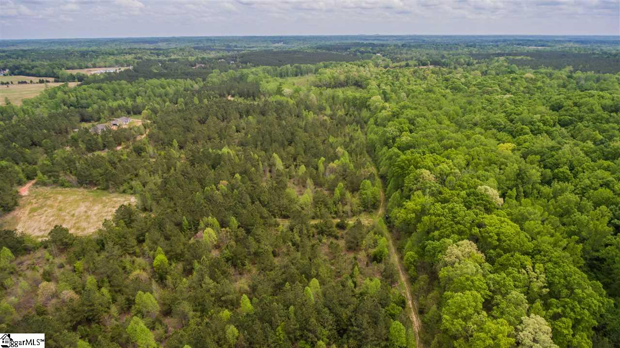 832 Dunklin Bridge Road Fountain Inn, SC 29644 - Photo 9 of 36