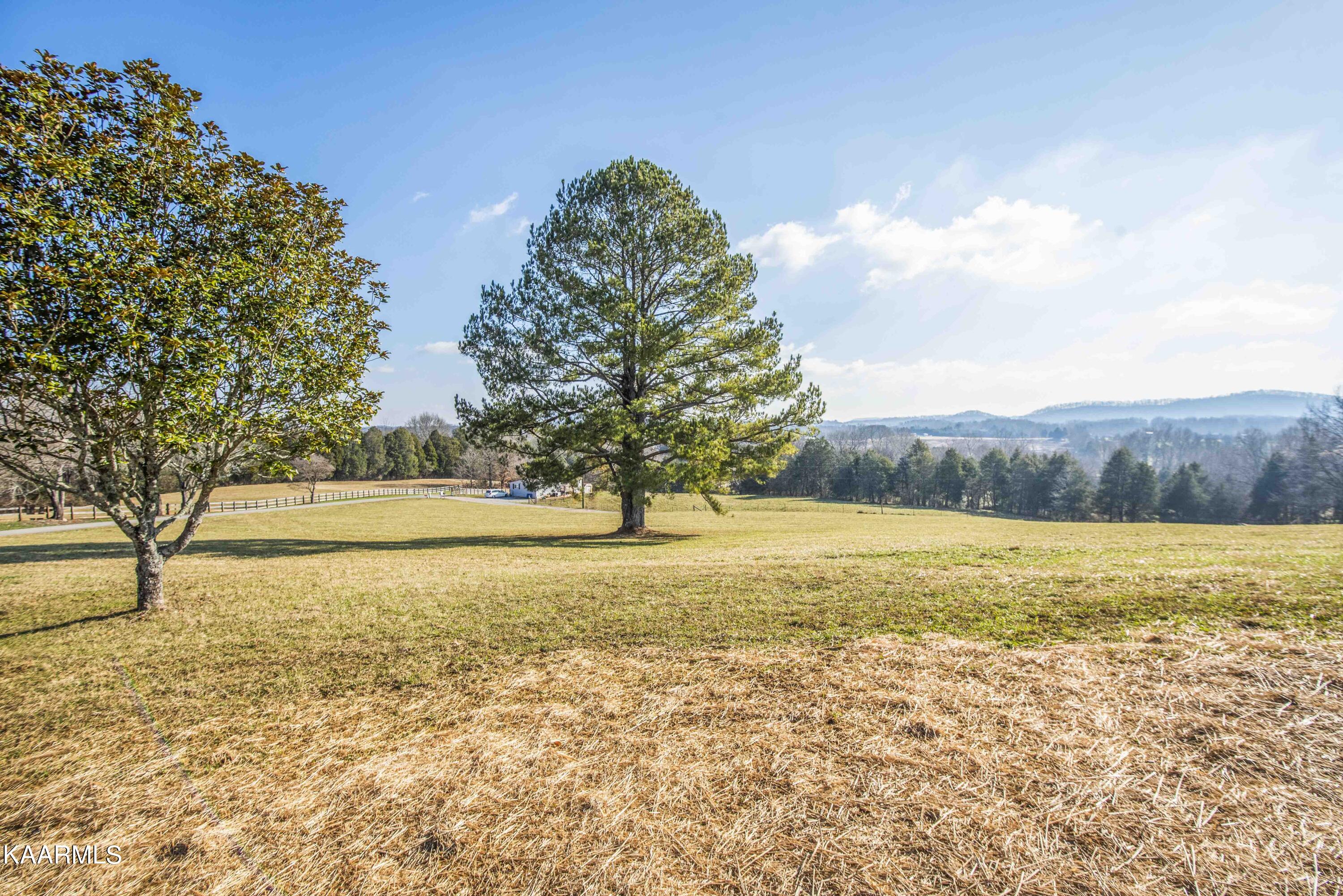 8107 Coppock Road Corryton, TN 37721 - Photo 36 of 50 yad 1_1
