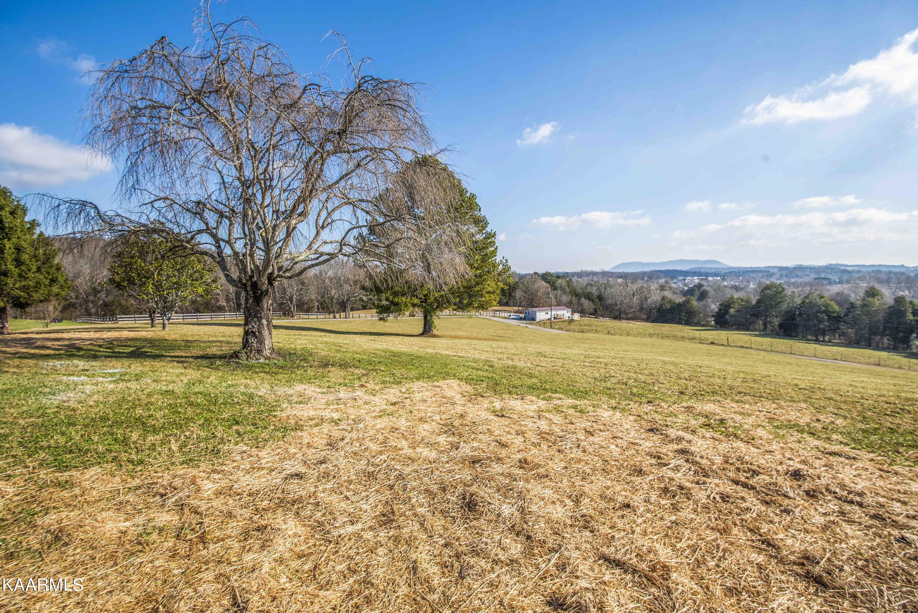 8107 Coppock Road Corryton, TN 37721 - Photo 38 of 50 yard 3_1