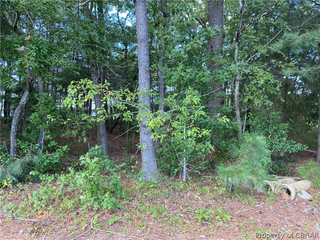 0 Wicomico Point Road Heathsville, VA 22473 - Photo 9 of 9