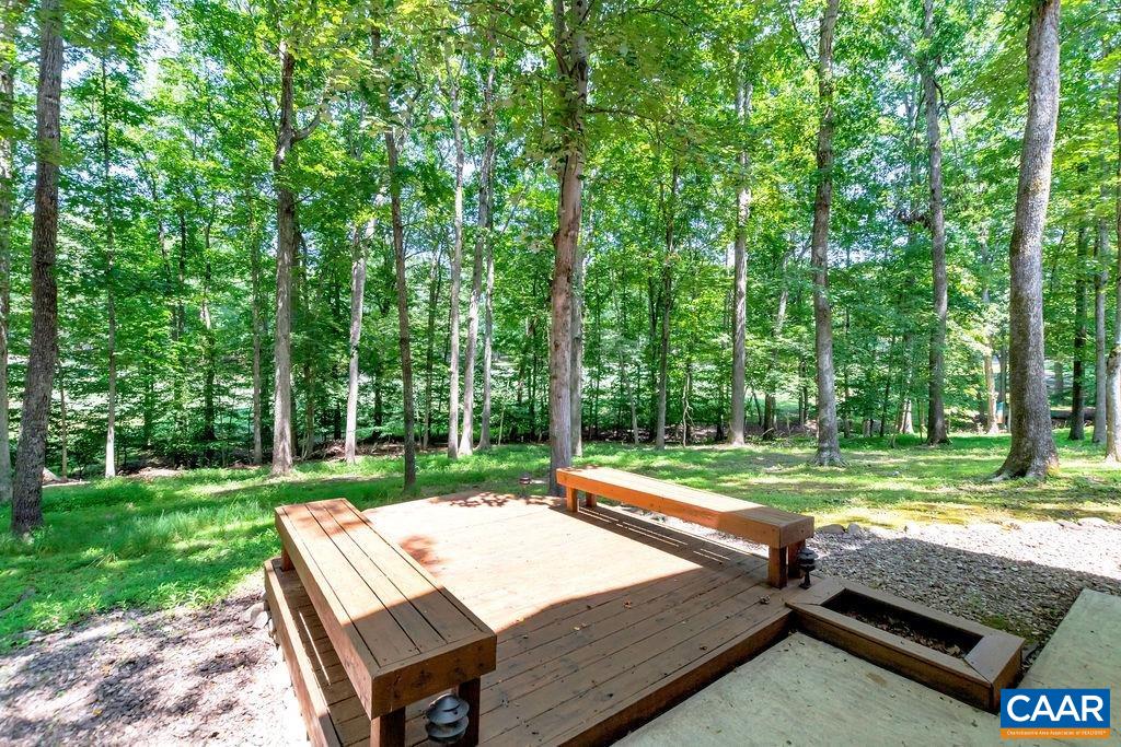31 Out Of Bounds Road Palmyra, VA 22963 - Photo 32 of 41 a view of a backyard with a small cabin