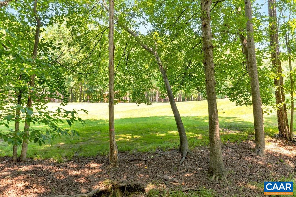 31 Out Of Bounds Road Palmyra, VA 22963 - Photo 36 of 41 a view of outdoor space with trees