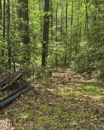 $80,000 | 348 Hemlock Trail, Ellijay, GA 30540