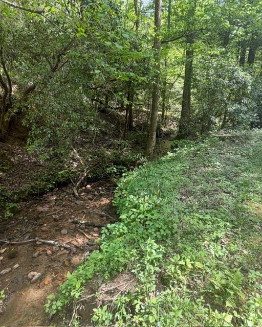 348 Hemlock Trail Ellijay, GA 30540 - Photo 15 of 38 a view of a forest with trees in the background