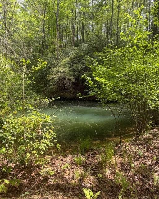 348 Hemlock Trail Ellijay, GA 30540 - Photo 19 of 38 a view of a garden