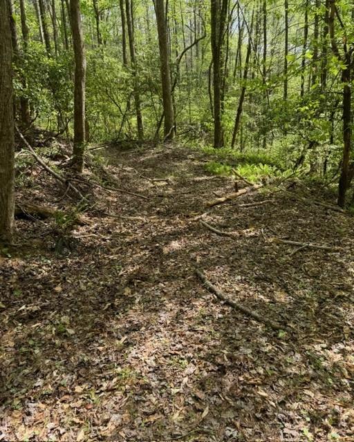 348 Hemlock Trail Ellijay, GA 30540 - Photo 23 of 38 a view of outdoor space and green space