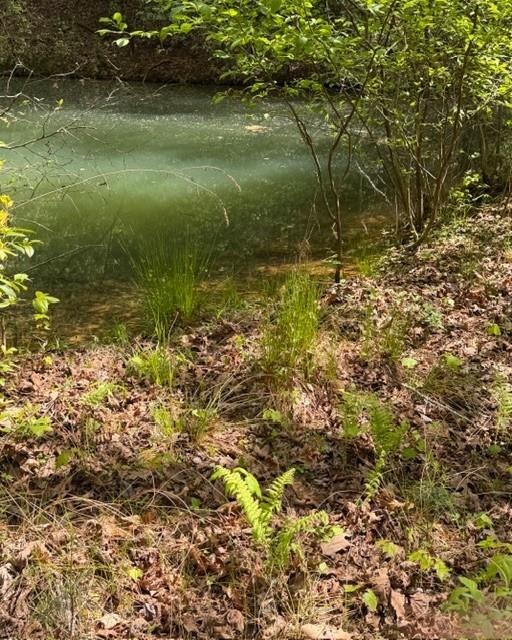 348 Hemlock Trail Ellijay, GA 30540 - Photo 26 of 38 a view of a lake with a tree