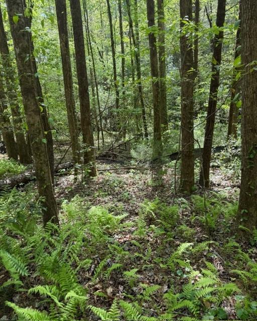 348 Hemlock Trail Ellijay, GA 30540 - Photo 28 of 38 a view of outdoor space and green space