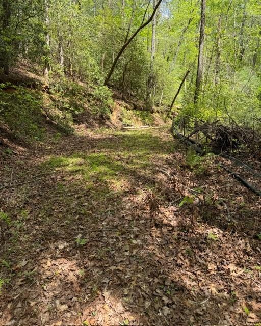 348 Hemlock Trail Ellijay, GA 30540 - Photo 3 of 38 a view of mountain view