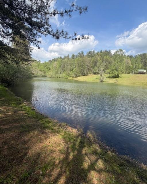 348 Hemlock Trail Ellijay, GA 30540 - Photo 36 of 38 a view of lake with green space