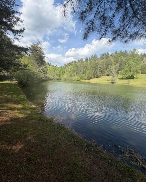 348 Hemlock Trail Ellijay, GA 30540 - Photo 37 of 38 a view of lake with mountain