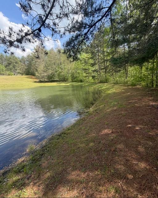 348 Hemlock Trail Ellijay, GA 30540 - Photo 38 of 38 a view of lake with green space