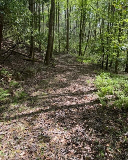 348 Hemlock Trail Ellijay, GA 30540 - Photo 6 of 38 a view of a forest with trees in the background