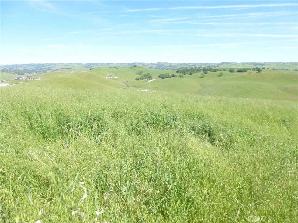0 Douglas Road San Miguel, CA 93451 - Photo 30 of 44
