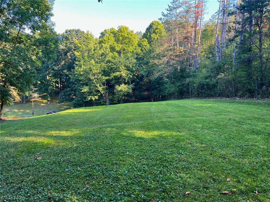 282 Magnolia Road Northwest Dellroy, OH 44620 - Photo 9 of 27 View of yard