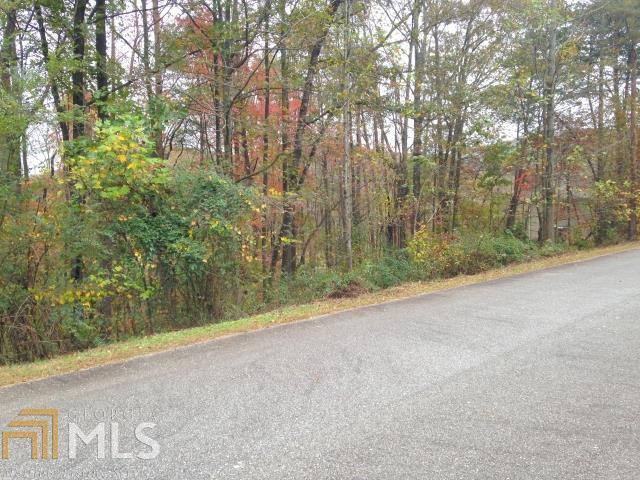 0 Jonney Thomas Road, Unit 5 Cleveland, GA 30528 - Photo 1 of 1 Gallery Image 1
