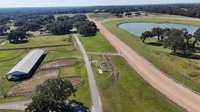 a view of a swimming pool with a lot of trees