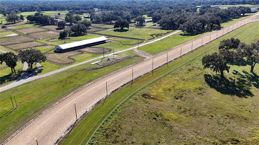 2711 Southwest 125th Avenue Ocala, FL 34481 - Photo 34 of 49 a view of swimming pool with a garden and seating area