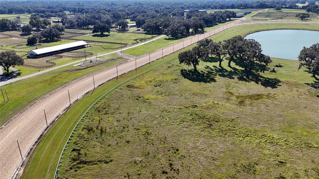2711 Southwest 125th Avenue Ocala, FL 34481 - Photo 35 of 49 a view of a swimming pool with a lot of trees