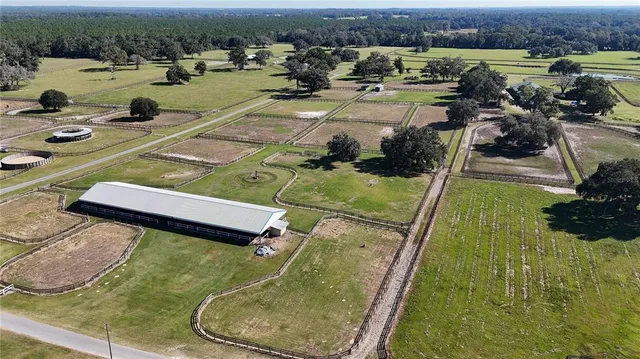 a view of a swimming pool with chairs and plants