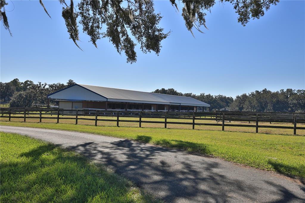 2711 Southwest 125th Avenue Ocala, FL 34481 - Photo 9 of 49 a view of a swimming pool and trees in the background