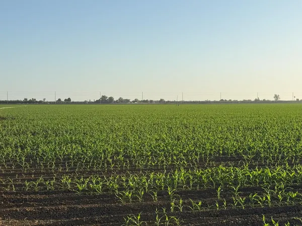 $4,340,000 | 19054 Ca-33 Crows Landing, Crows Landing, CA 95313