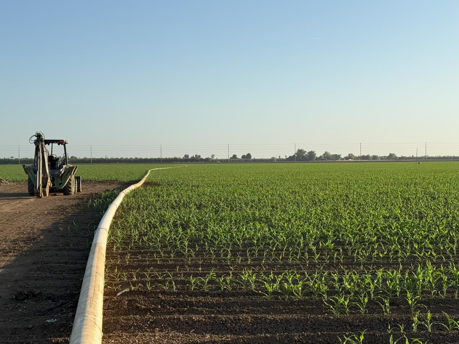 19054 Ca-33 Crows Landing Crows Landing, CA 95313 - Photo 16 of 30 a view of a large body of water with a bench