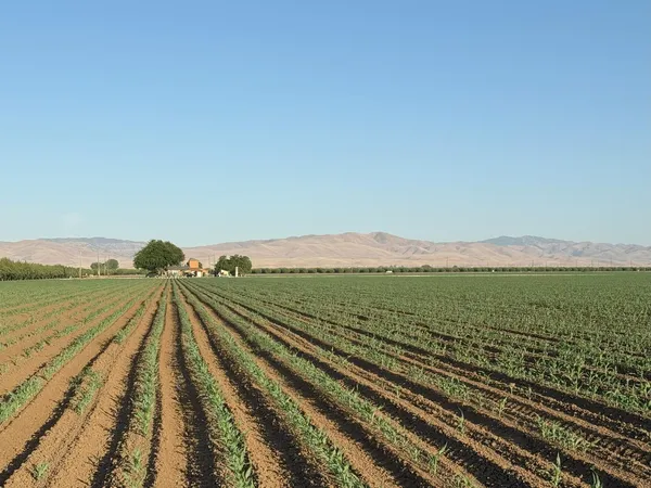 $4,340,000 | 19054 Ca-33 Crows Landing, Crows Landing, CA 95313