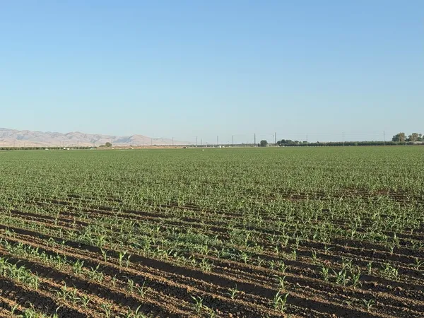 $4,340,000 | 19054 Ca-33 Crows Landing, Crows Landing, CA 95313