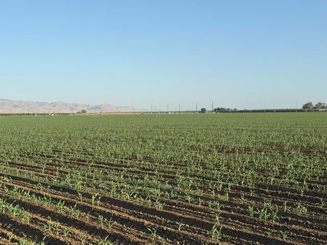 $4,340,000 | 19054 Ca-33 Crows Landing, Crows Landing, CA 95313