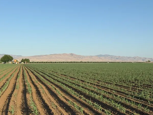 $4,340,000 | 19054 Ca-33 Crows Landing, Crows Landing, CA 95313