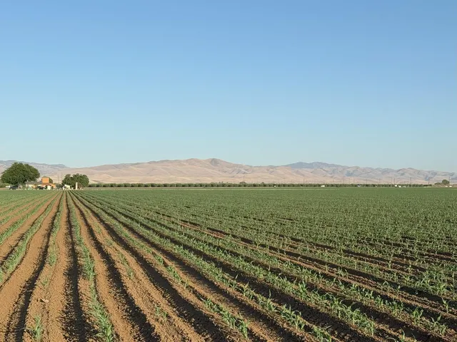 $4,340,000 | 19054 Ca-33 Crows Landing, Crows Landing, CA 95313