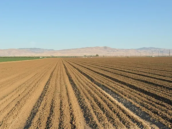 $4,340,000 | 19054 Ca-33 Crows Landing, Crows Landing, CA 95313