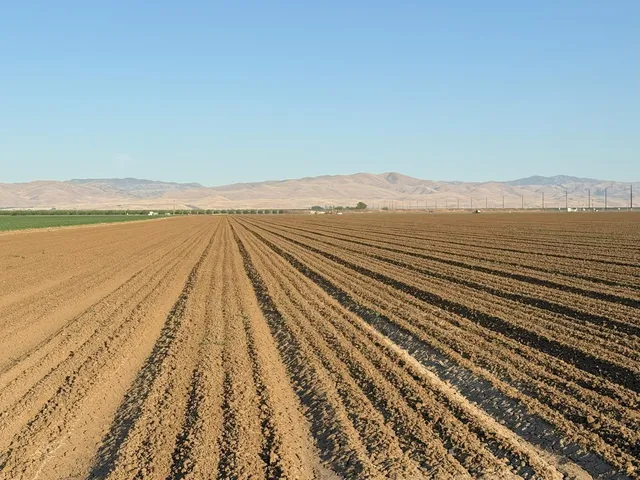 $4,340,000 | 19054 Ca-33 Crows Landing, Crows Landing, CA 95313