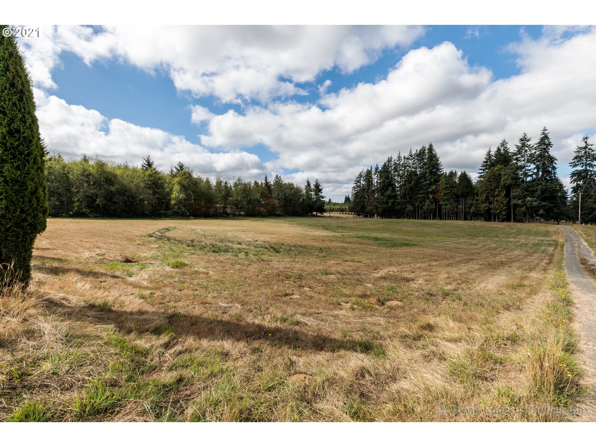 76940 Emill Road Rainier, OR 97048 - Photo 8 of 11 Gallery Image 8