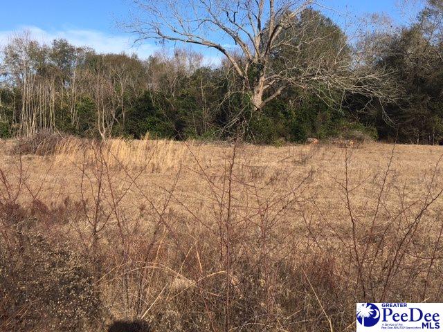 Fisherman Road Lamar, SC 29069 - Photo 1 of 1 Gallery Image 1
