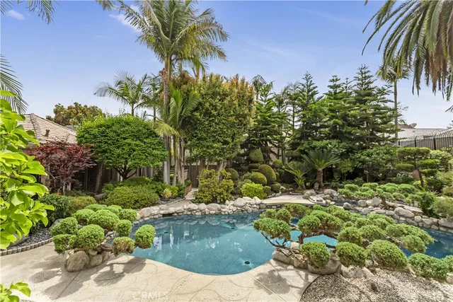 a view of a garden with plants