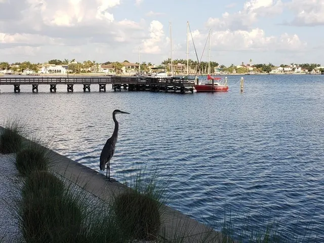 $3,000 | 4900 Brittany Drive South, Unit 1812, St. Petersburg, FL 33715