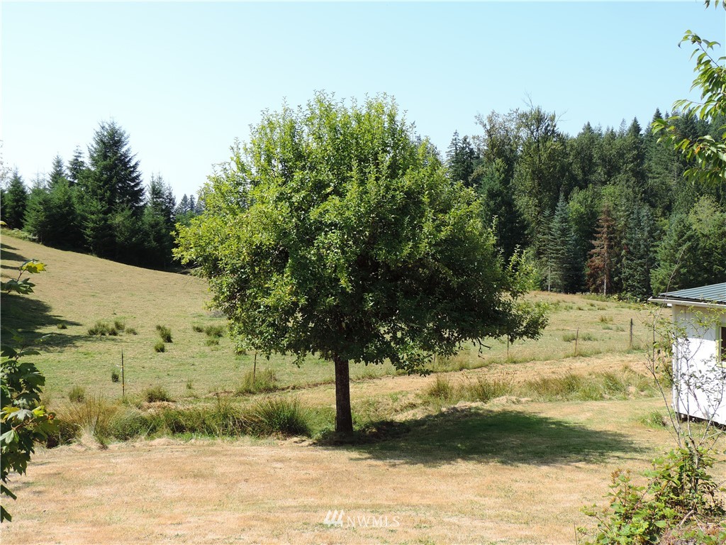 319 Kruger Road Onalaska, WA 98570 - Photo 14 of 20 Gallery Image 14