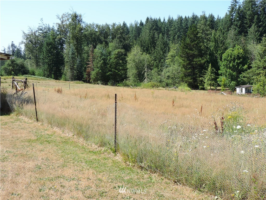 319 Kruger Road Onalaska, WA 98570 - Photo 15 of 20 Gallery Image 15