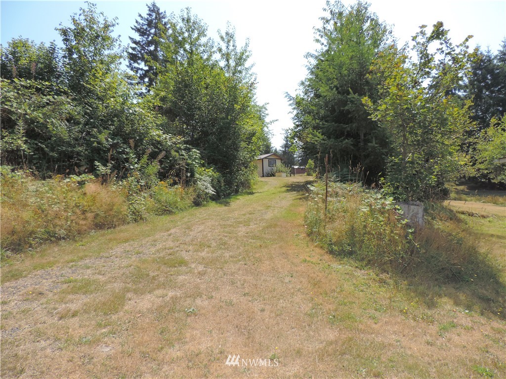 319 Kruger Road Onalaska, WA 98570 - Photo 17 of 20 Gallery Image 17