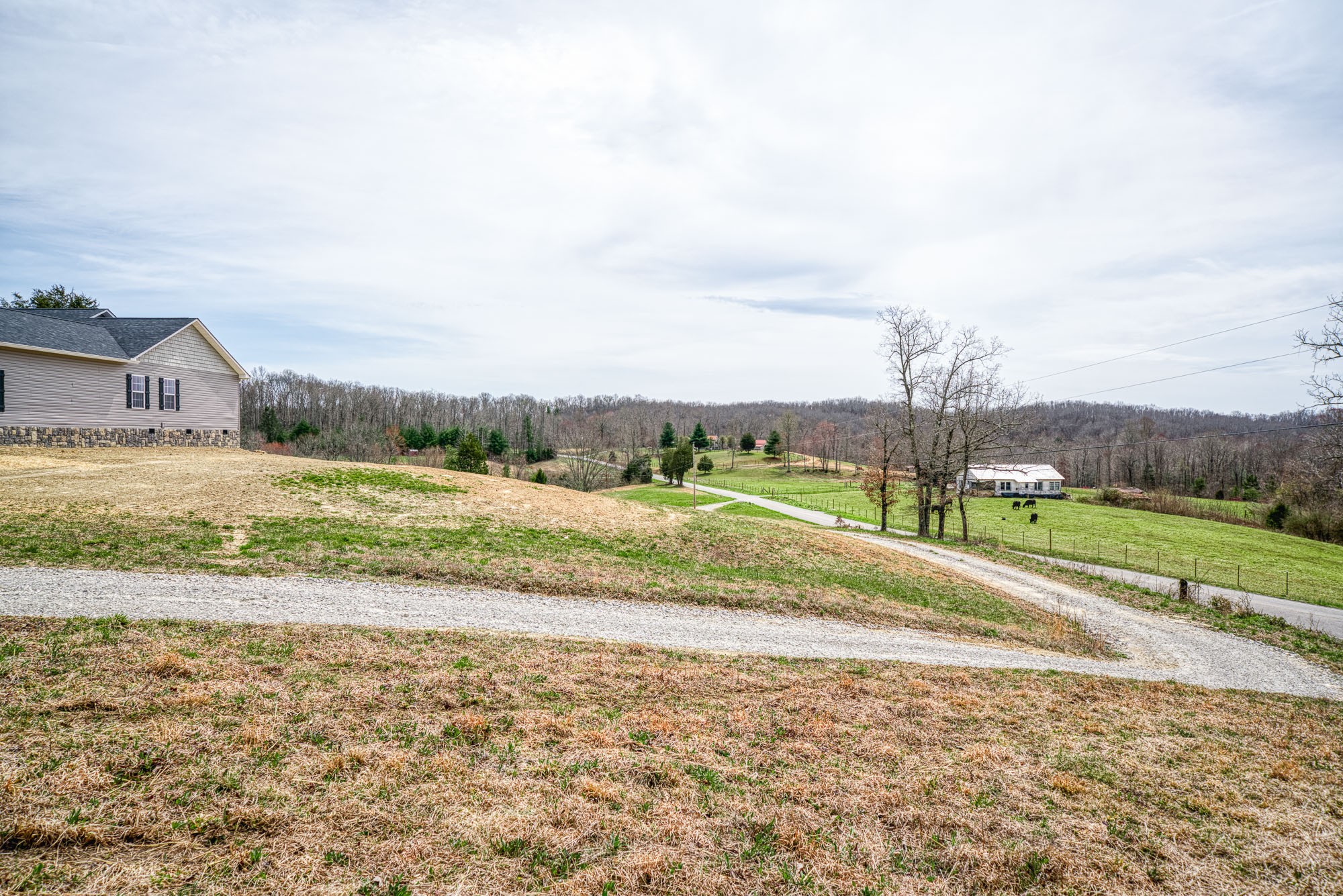 133 Cardinal Way Lancing, TN 37770 - Photo 35 of 35 a view of a town with big yard
