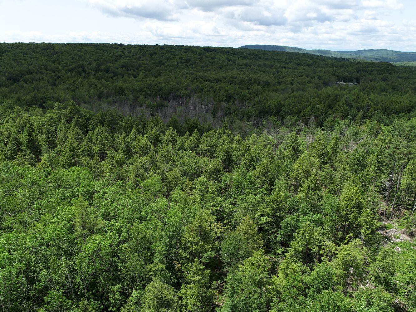 M13-l44 Valley Road Raymond, ME 04071 - Photo 9 of 20 DJI_0008