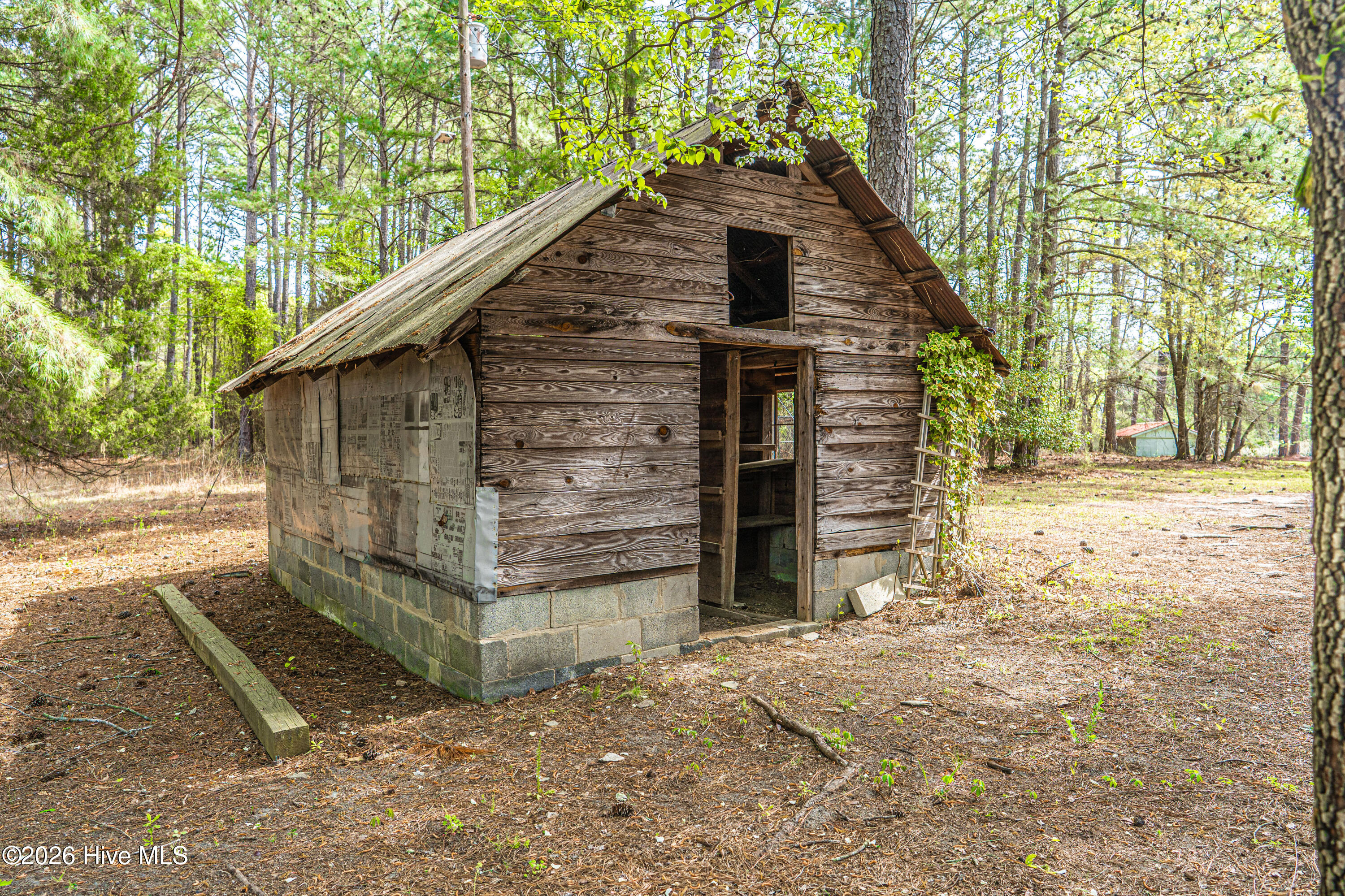 287 Candy Road Jackson Springs, NC 27281 - Photo 35 of 38 DSC02069