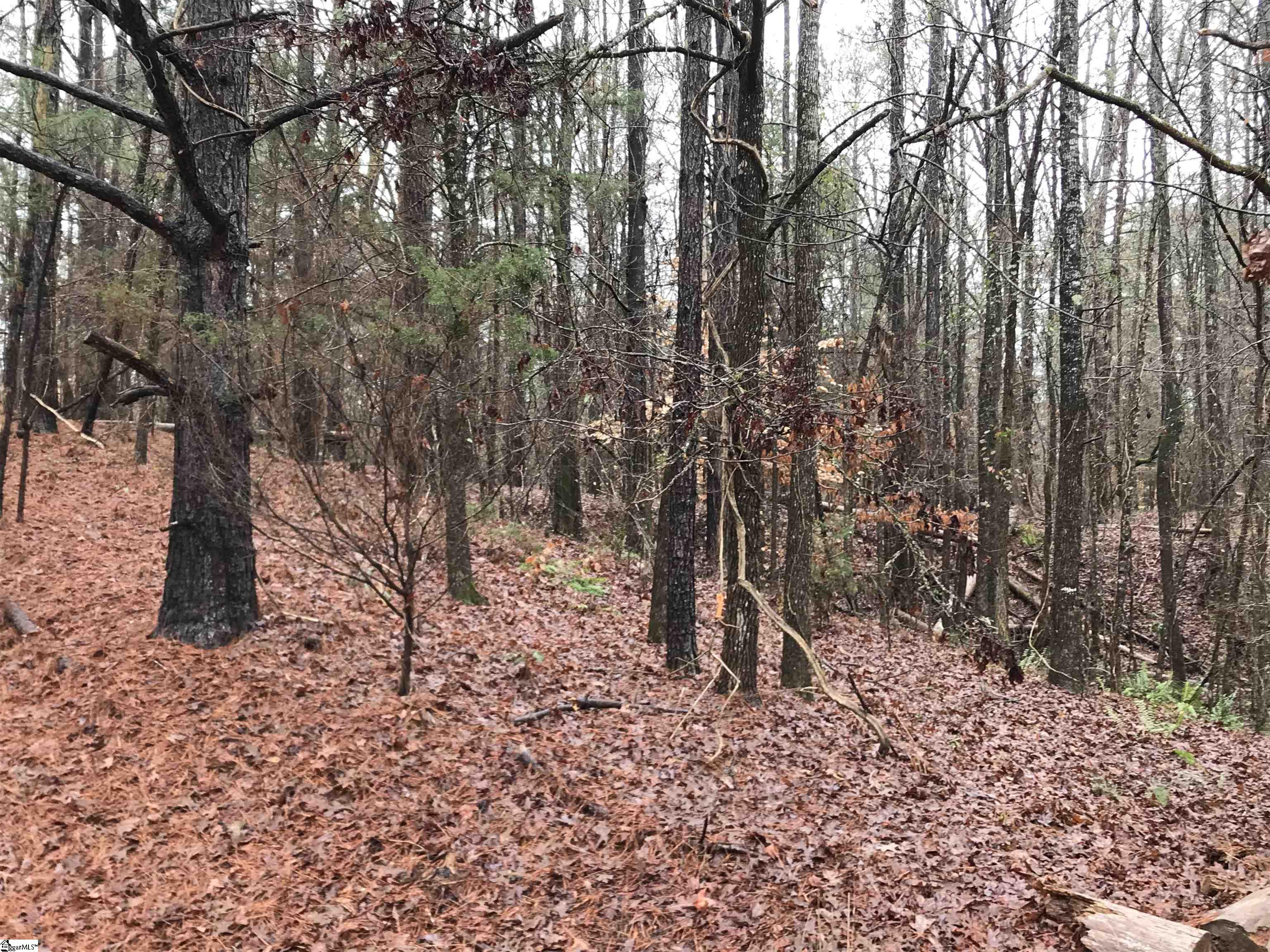 638 Tom Young Bridge Road Iva, SC 29655 - Photo 15 of 27